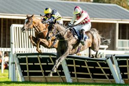 four-towns-and-james-best-jumping-to-win-at-fontwell-22-september-2025-image-courtesy-of-darren-cool-photography four-towns-and-james-best-jumping-to-win-at-fontwell-22-september-2025-image-courtesy-of-darren-cool-photography