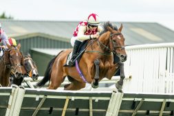 the-wise-traveller-and-jamie-gambin-jumping-to-win-at-plumpton-21-september-2025-image-courtesy-of-darren-cool-photography the-wise-traveller-and-jamie-gambin-jumping-to-win-at-plumpton-21-september-2025-image-courtesy-of-darren-cool-photography