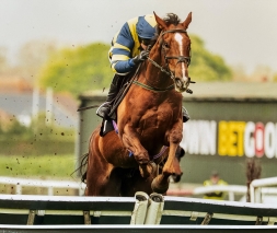 Ronnie Wins at Plumpton