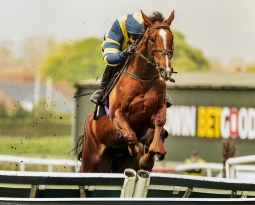 Ronnie Wins at Plumpton