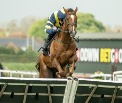 Ronnie Wins at Plumpton